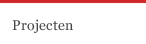 Projecten